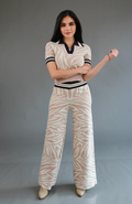 Set Zebra